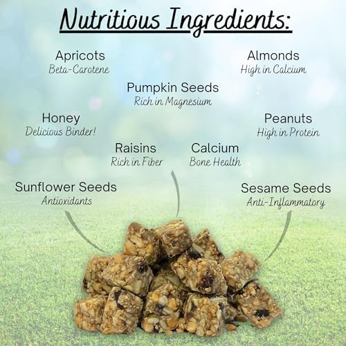 Resealable pack of Exotic Nutrition beneficial blocks for pet squirrels.