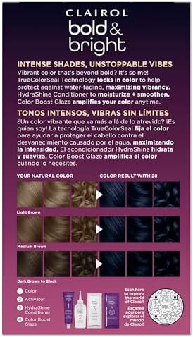 Clairol Wild Blackberry permanent box dye kit containing color cream, activator, and conditioner.