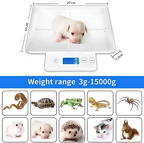 Mindpet-Med precision pet scale with a kitten on the tray demonstrating health monitoring