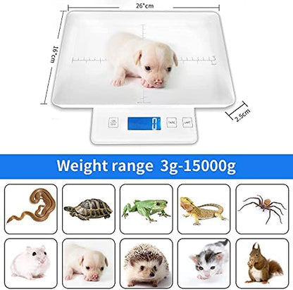 Mindpet-Med precision pet scale with a kitten on the tray demonstrating health monitoring