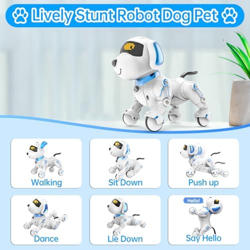 Close up of Dwi Dowellin robot dog touch sensor area