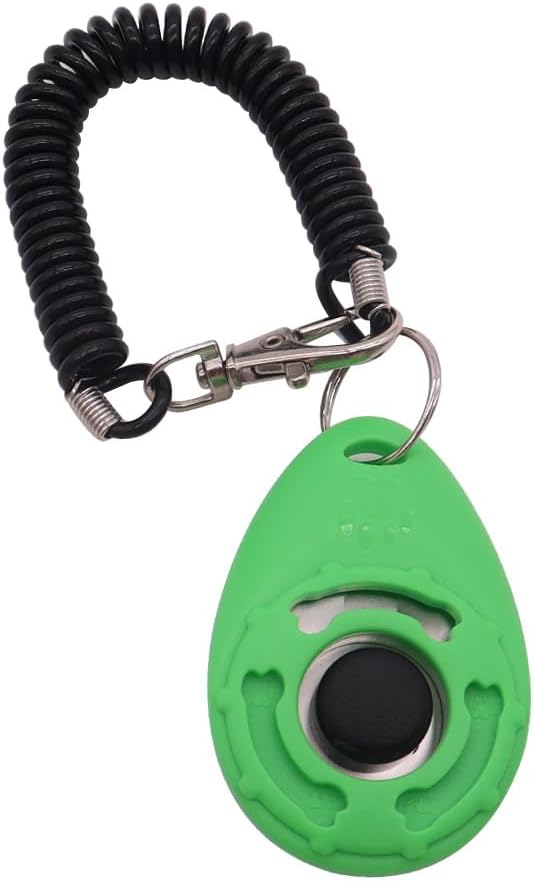 Pet owner using the blue training clicker during an outdoor puppy obedience session