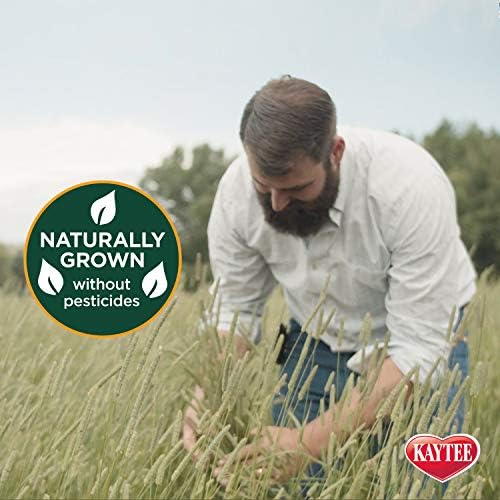 Kaytee Timothy Hay and Orchard Grass close up of natural sun cured long strand fiber textures for pets