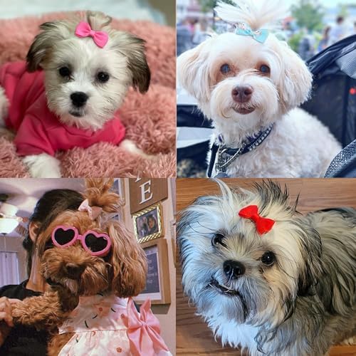 Top view of 50 pairs of polka dot grooming bows for small dogs