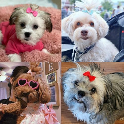 Top view of 50 pairs of polka dot grooming bows for small dogs