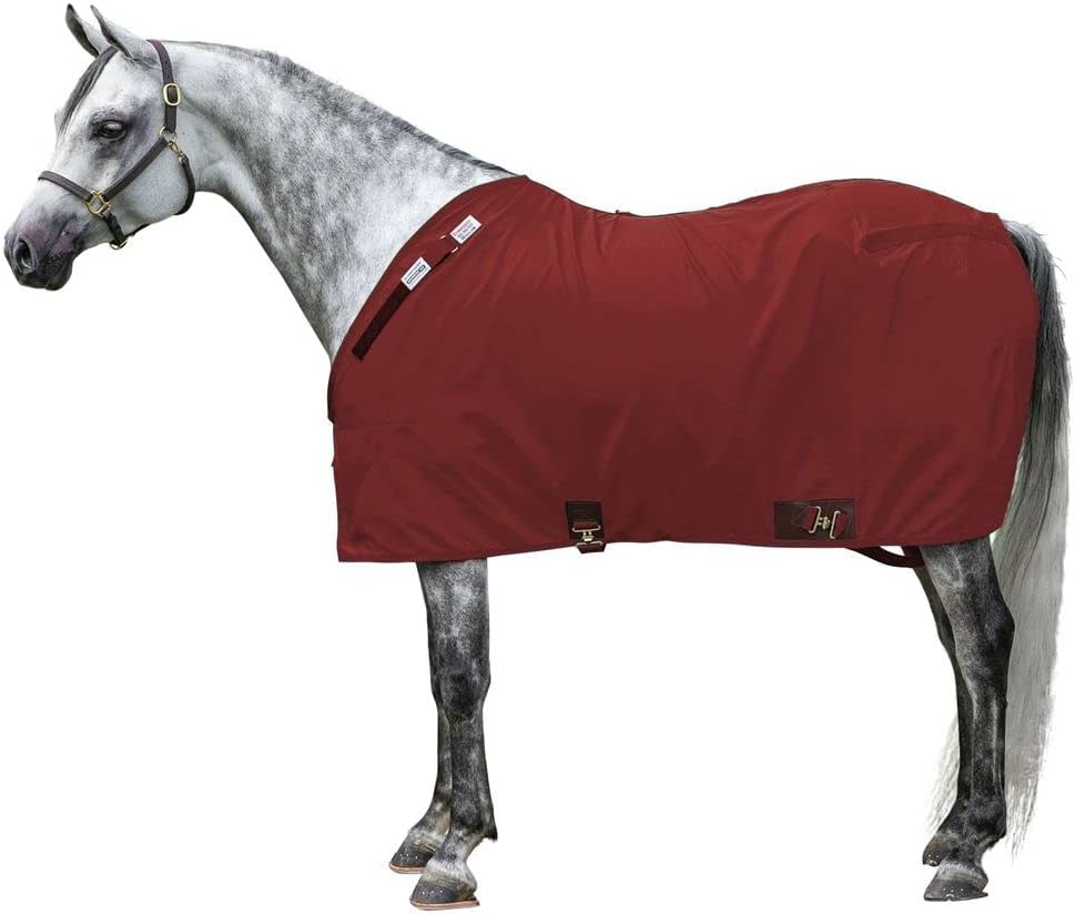 Adjusta Fit Dura Nylon Horse Stable Sheet green front view on a horse