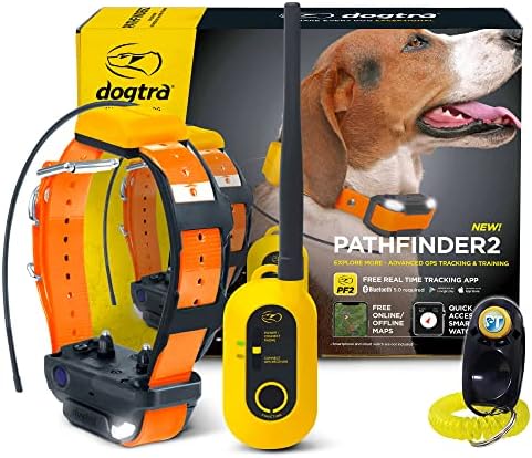 Dogtra Pathfinder 2 orange GPS tracking collar strap
