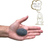 Pet Rock cardboard carrying case with ventilation holes