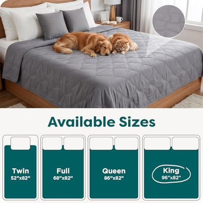 Gray machine washable dog blanket spread across a large living room sofa.