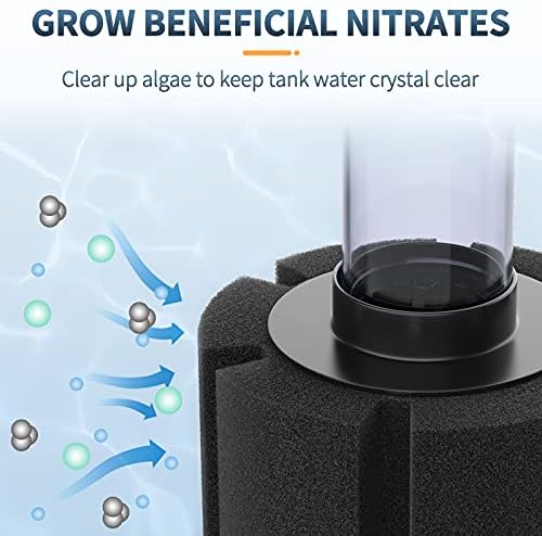 Pawfly nano bio sponge filter set up inside a betta tank
