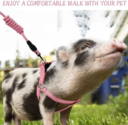 Ergonomic black foam comfort handle on the pink YeeBeny mini pig leash