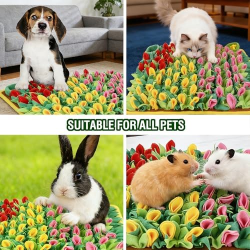 Mylifesion Snuffle Mat small dog interacting