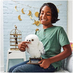 Full packaging view of the imported Harry Potter Enchanting Hedwig toy with accessories