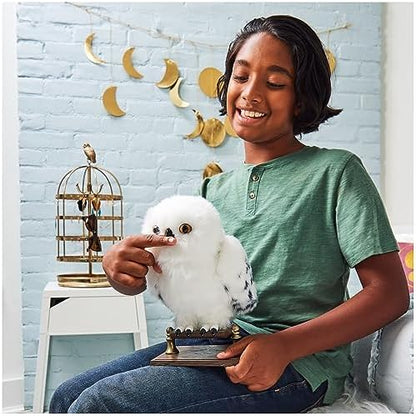 Full packaging view of the imported Harry Potter Enchanting Hedwig toy with accessories