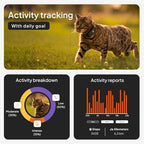 Cat wearing Weenect Cat XS collar outdoors