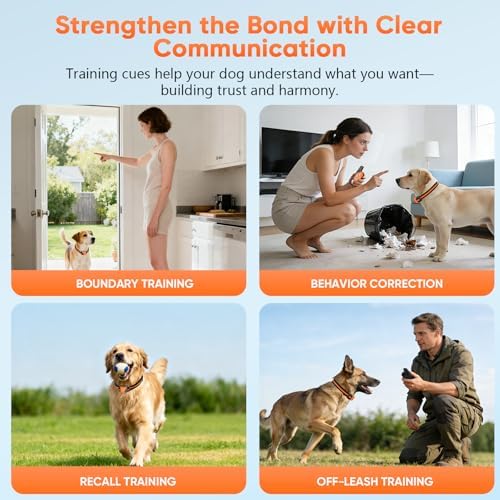 Premium pet training collar kit with long standby rechargeable batteries