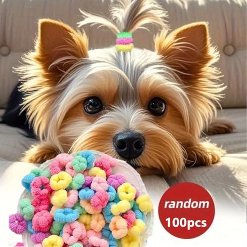 Soft elastic hair bands for Yorkshire Terrier grooming