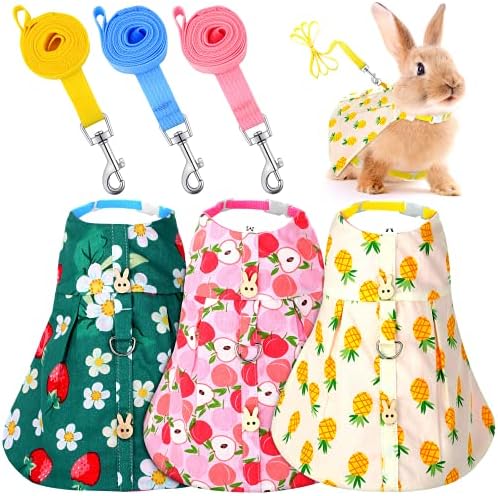 Small pet wearing Weewooday pineapple print walking harness