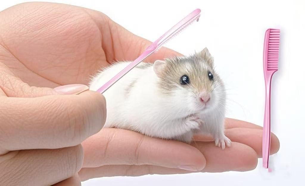 EFYUE Three Piece Mini Hamster Combs Set front view gentle small pet grooming tool