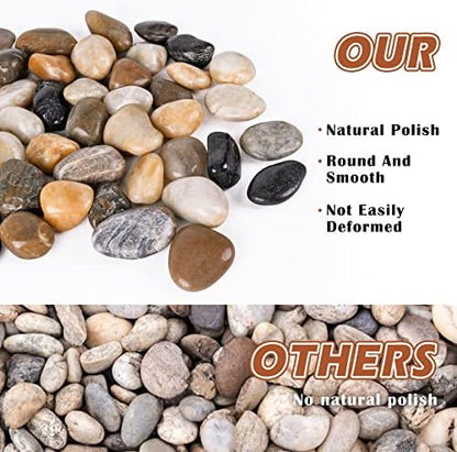 Top view of polished river pebbles in a garden setting
