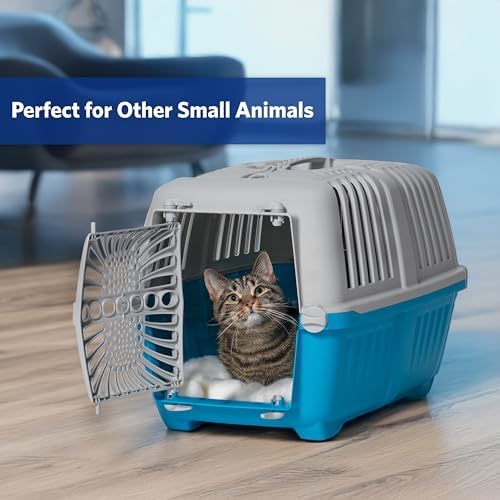 A small cat inside the blue MidWest Spree 19-inch hard-sided travel kennel