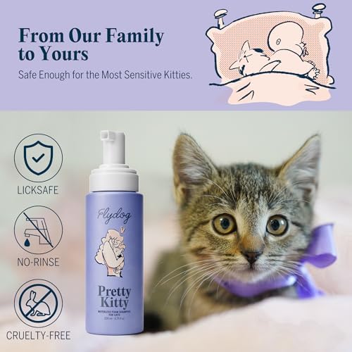 Waterless cat grooming foam applied to a white kitten's coat for dry skin relief.