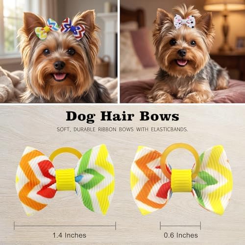 Small dog grooming accessories in a variety of patterns