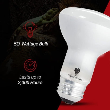 Close up of a single 50 Watt glass reflector basking bulb showing the standard screw base