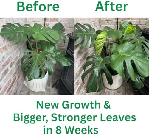 Potassium silicate plant supplement bottle for stronger stems