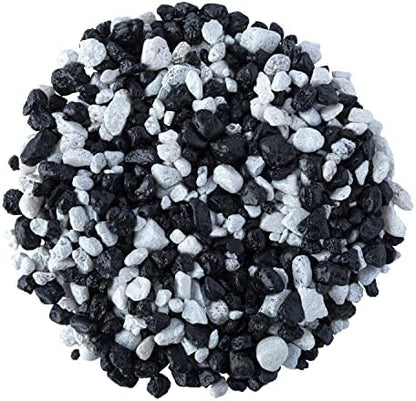 Comparison of Glofish gravel under standard versus blue LED lighting