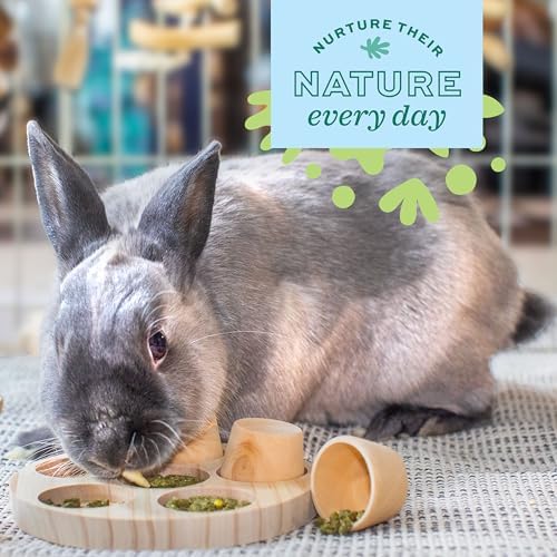 Oxbow Timothy Hay Hide & Seek Mat, Small - Rabbit & Guinea Pig Toys for Chewing & Relaxation, Enrichment for Bunny, Hamster, Chinchilla, Rat, Timothy Hay Small Animal Cage Accessories - Image 6