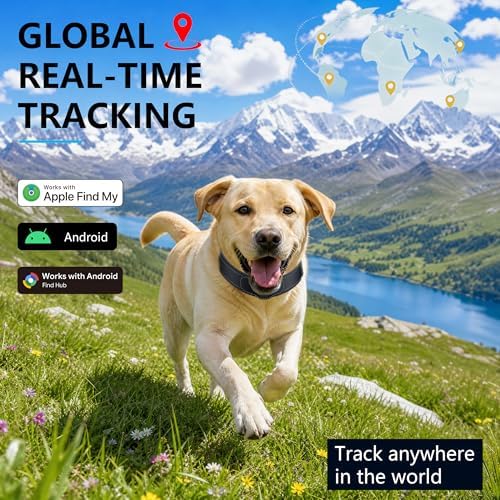 Bonso smart pet collar track history interface displayed on a smartphone screen.