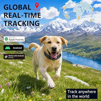 Bonso smart pet collar track history interface displayed on a smartphone screen.