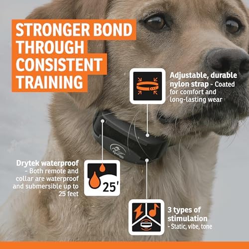 Side profile of SportDOG 425X remote and collar receiver