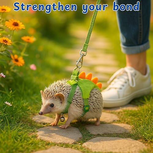 Packaging layout of the Homedy Crafts size Medium hedgehog accessories set