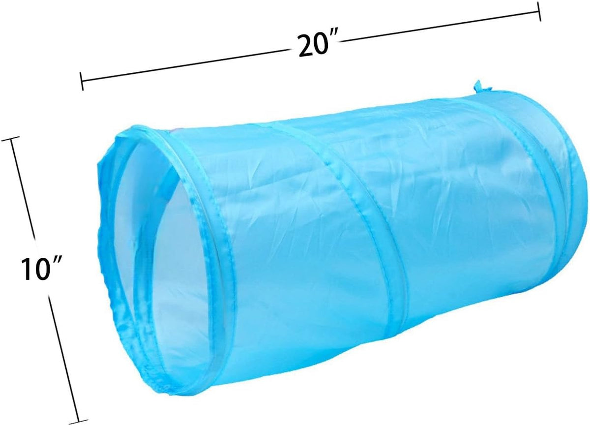 Ragdoll cat playing inside the blue crinkle pet tube