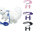 Close up of Litvibes anti-breakaway pet harness and leash clip