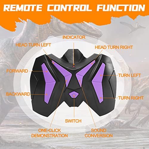 Apobatk remote control raptor packaging and accessories
