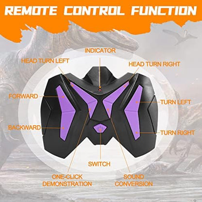 Apobatk remote control raptor packaging and accessories