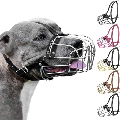 BRONZEDOG stainless steel pitbull mask showing adjustable leather straps.