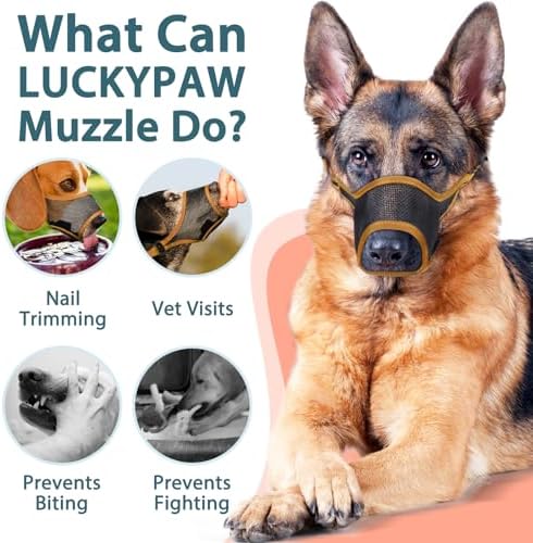 Dog wearing soft mesh muzzle during outdoor training