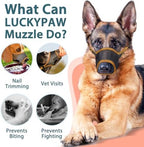 Dog wearing soft mesh muzzle during outdoor training
