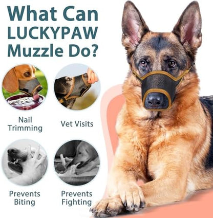 Dog wearing soft mesh muzzle during outdoor training