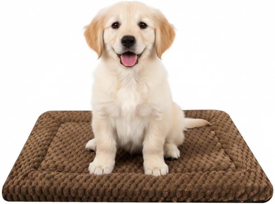 Small dog resting on Zutbouc reversible crate mat