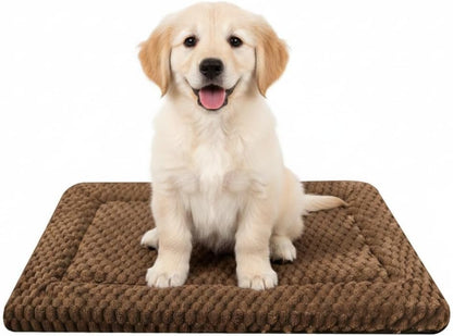 Small dog resting on Zutbouc reversible crate mat
