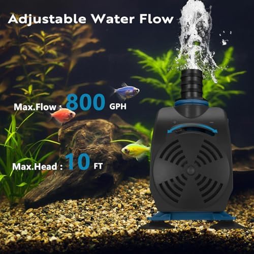 TONGCHANT 800GPH pond pump displaying the four bottom suction cups for secure placement.
