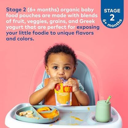 Authentic USA imported Plum Organics baby food packaging details
