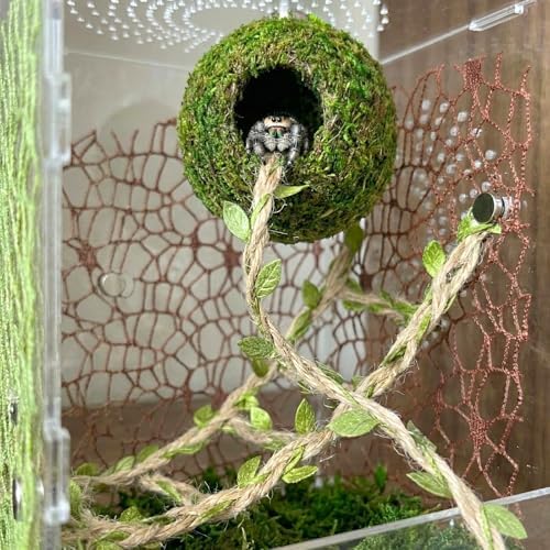 Magnetic Jumping Spider Hideout,Habitat Dcor Kit - Handmade Moss Hideout with Climbing Rope,Hemp Rope Bridge,2Pcs Climbing Web& Loose Moss,Fun Enclosure Accessories for Climbing & Hiding (4.5cm) - Image 3