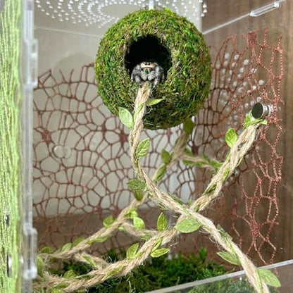 Magnetic Jumping Spider Hideout,Habitat Dcor Kit - Handmade Moss Hideout with Climbing Rope,Hemp Rope Bridge,2Pcs Climbing Web& Loose Moss,Fun Enclosure Accessories for Climbing & Hiding (4.5cm) - Image 3