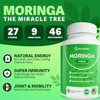 Close up of Rosabella Moringa supplement capsules with green leaves